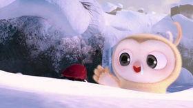 趣味吃瓜比赛视频